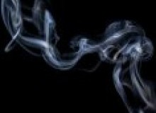 Kwikfynd Drain Smoke Testing
tranmerenorth